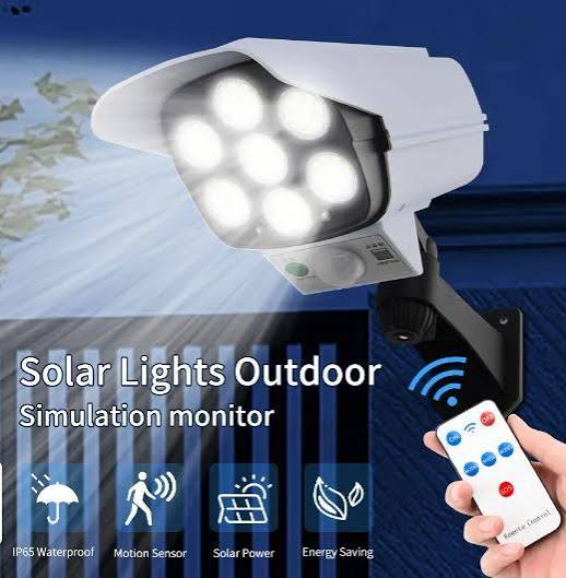 Solar Outdoor Light with Motion Sensor