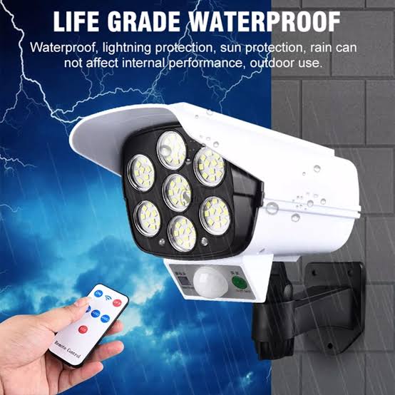 Solar Outdoor Light with Motion Sensor